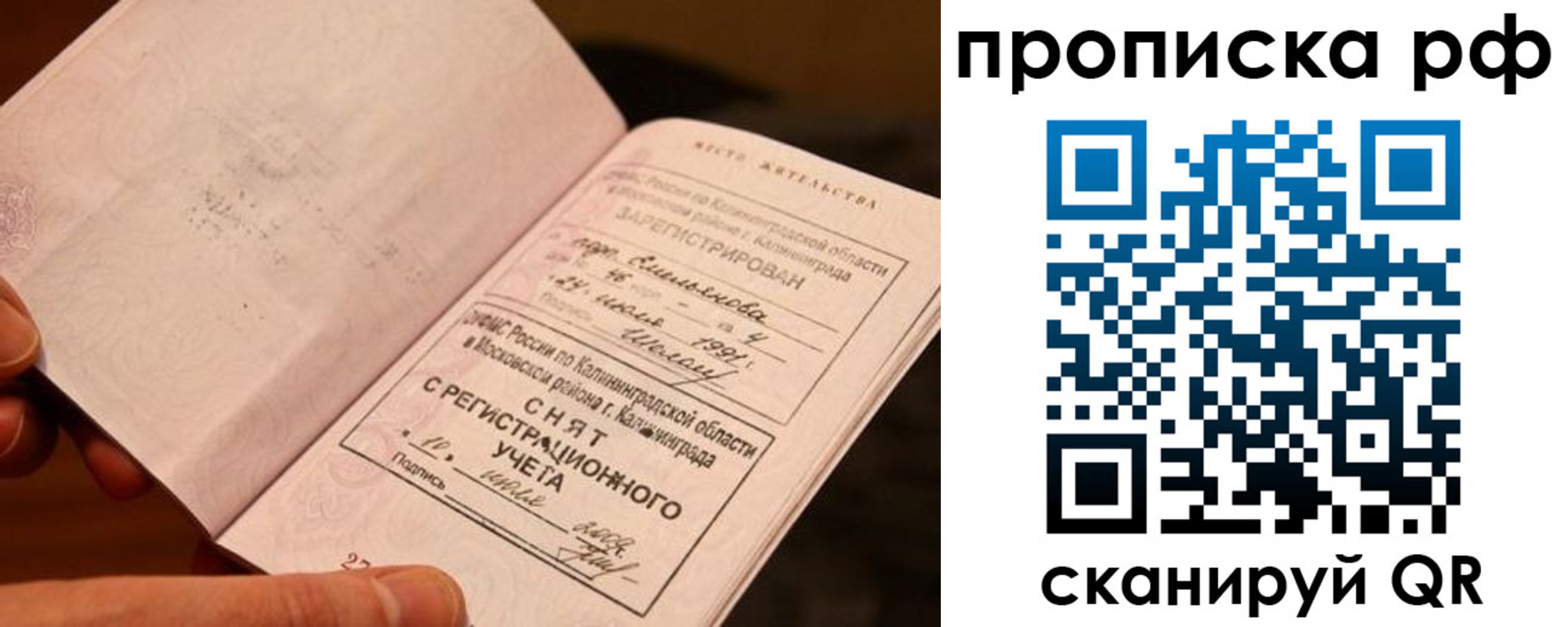 прописка гарантия в Волоколамске