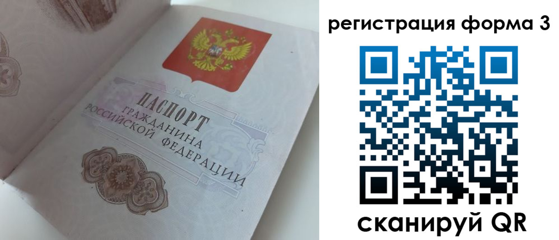 пропишу в квартире в Волоколамске